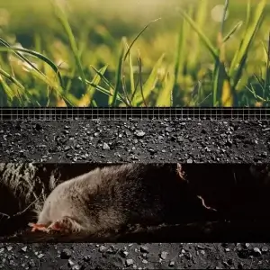 Plasa anti cârtiță